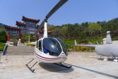 羅賓遜風(fēng)采